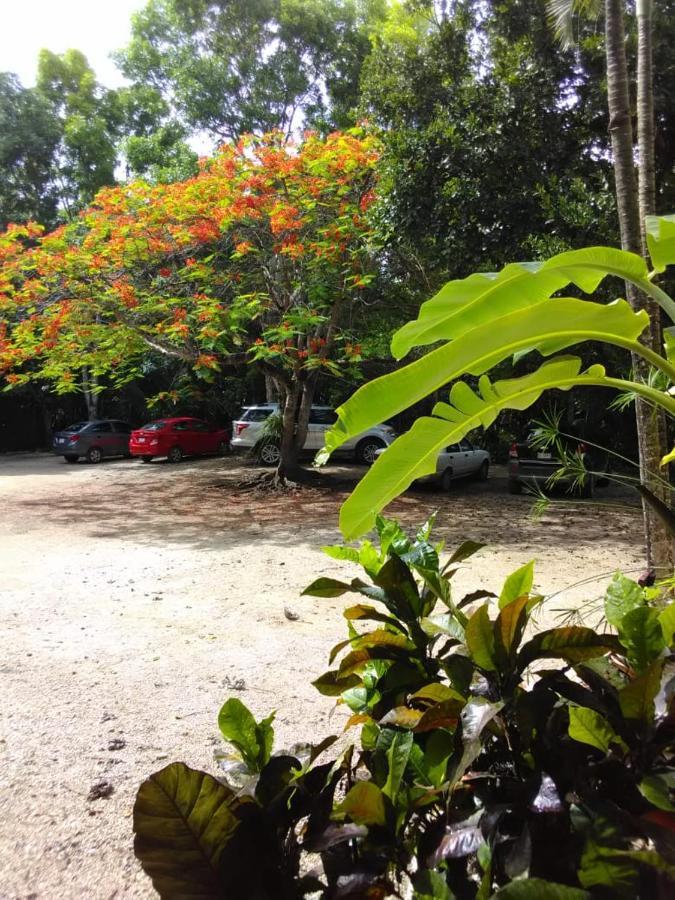 Villas Ecotucan Bacalar Zewnętrze zdjęcie