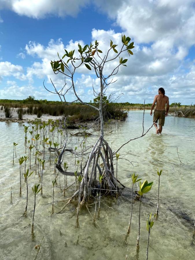Villas Ecotucan Bacalar Zewnętrze zdjęcie
