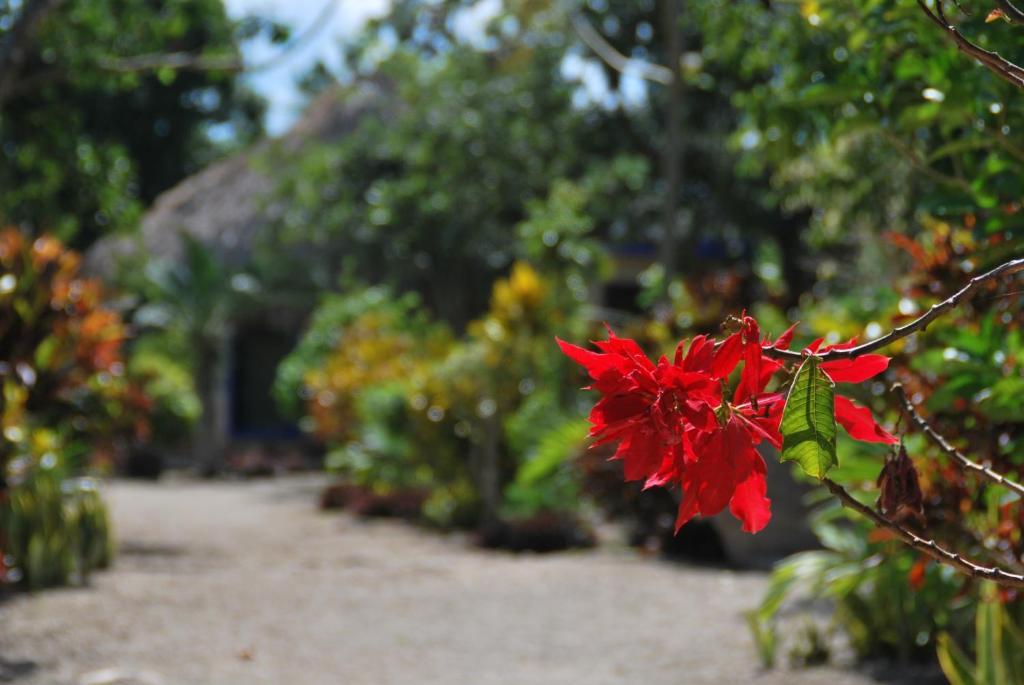 Villas Ecotucan Bacalar Zewnętrze zdjęcie